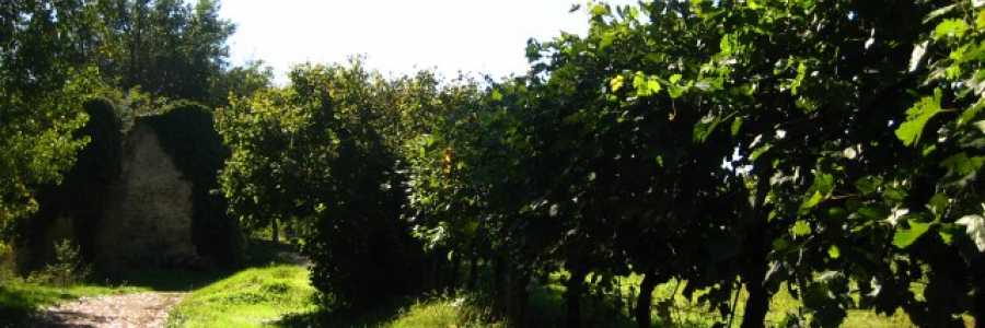 Itinerari naturalistico